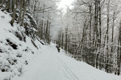 WhatsApp-Image-2025-03-21-at-12.25.06-1